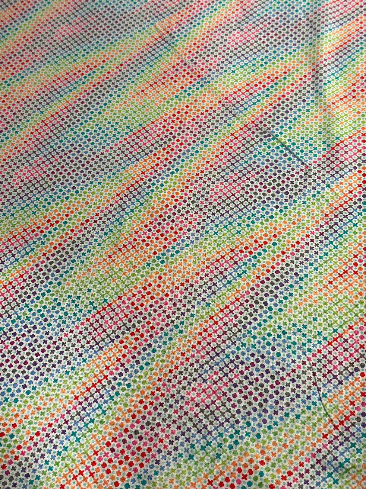 Tula Pink ROAR! Northern Lights- Mint by the half yard