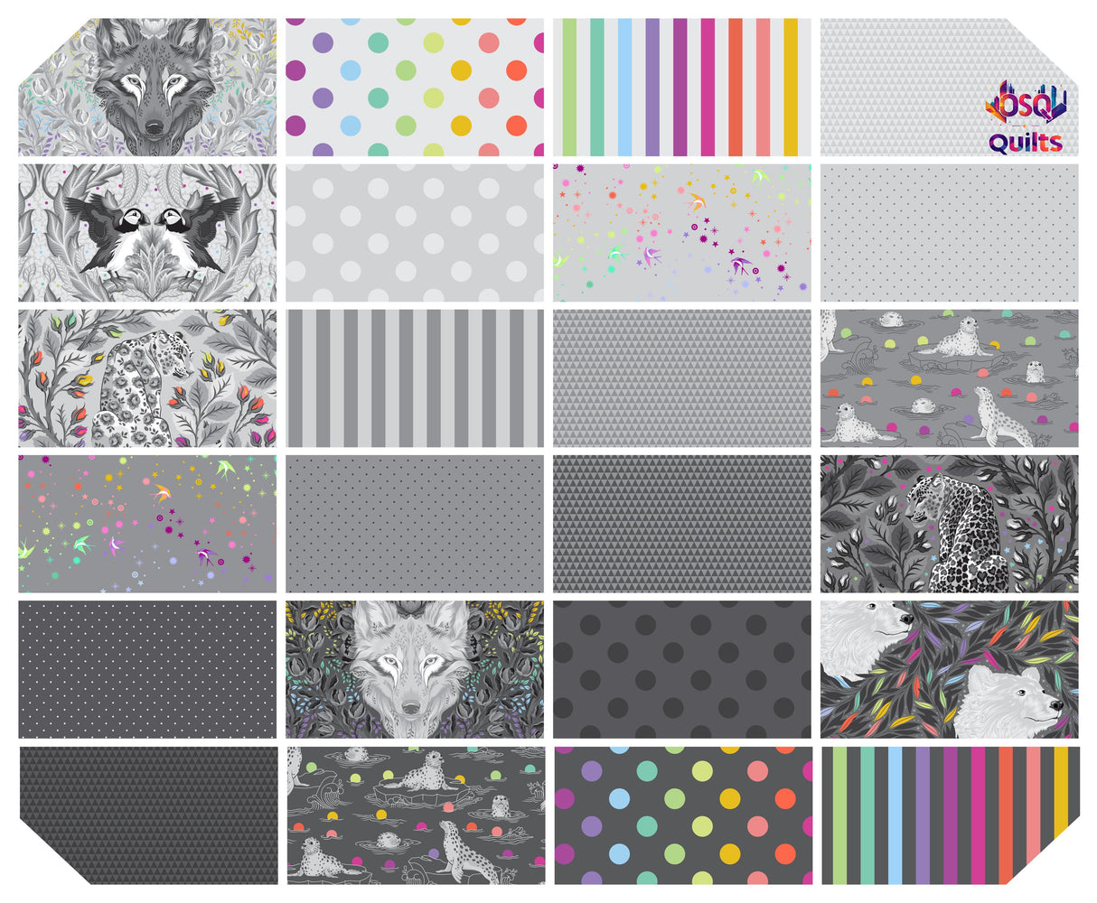 Tula Pink Graywork Hero Prints & True Colors - Bundle - 24 Prints - NOW SHIPPING