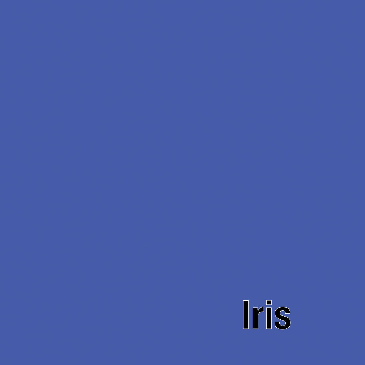 Tula Pink Solids - Iris - by the half yard