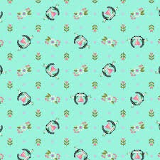 Tula Pink Slow and Steady Winners Circle Strawberry Kiwi Fat Quarter