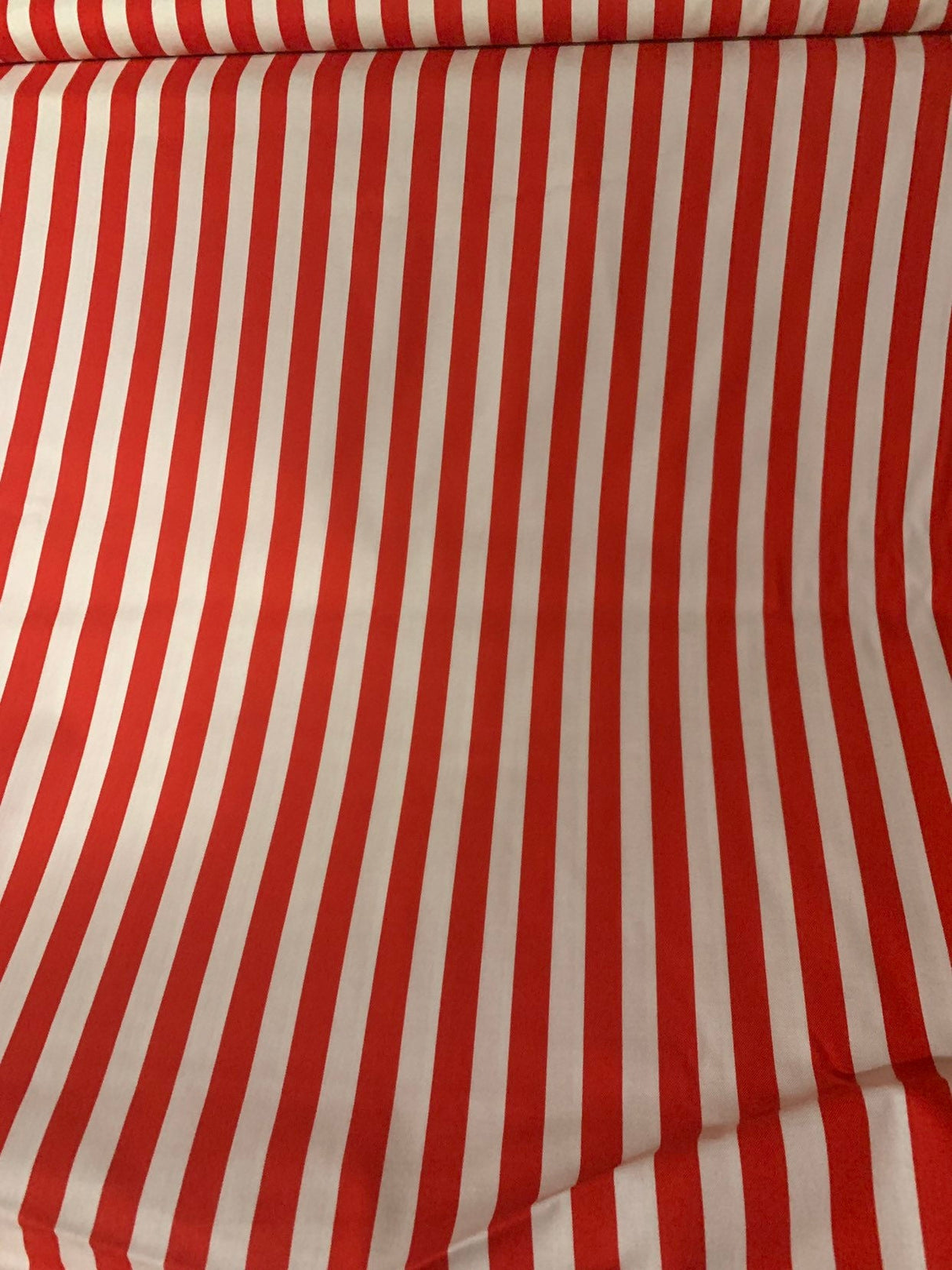Tula Pink Tabby Road- Tent Stripe  - Strawberry Fields