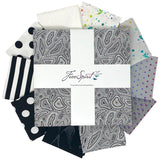 Tula Pink  True Colors Graphite Mix  - fat quarter Bundle