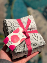 Tula Pink  True Colors Graphite Mix  - fat quarter Bundle