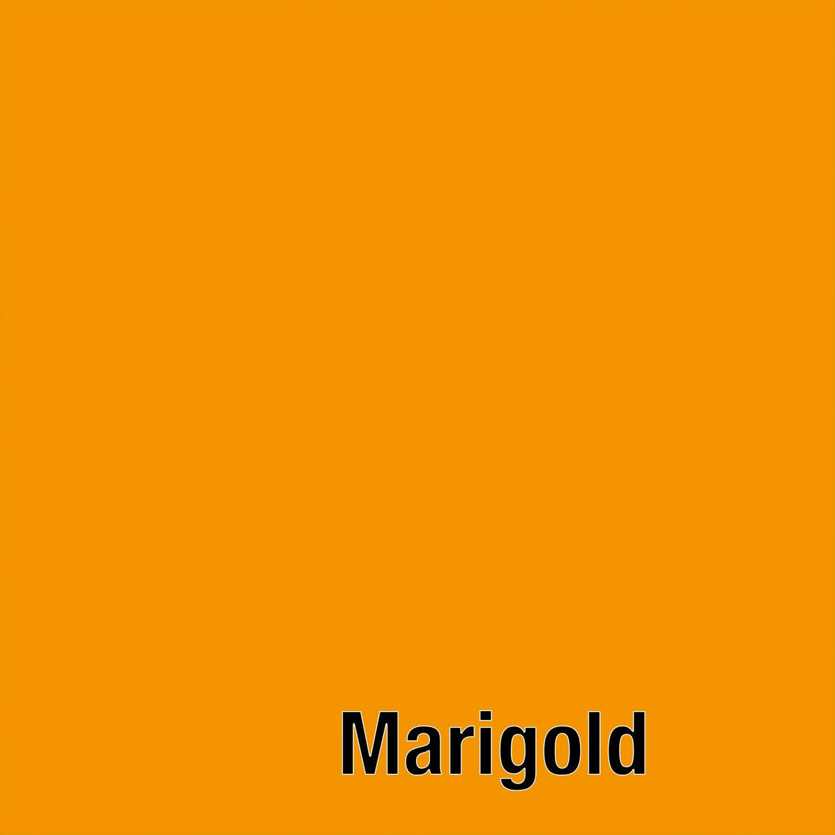 Tula Pink Solids - Marigold - by the half yard