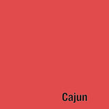 Tula Pink Solids - Cajun - by the half yard