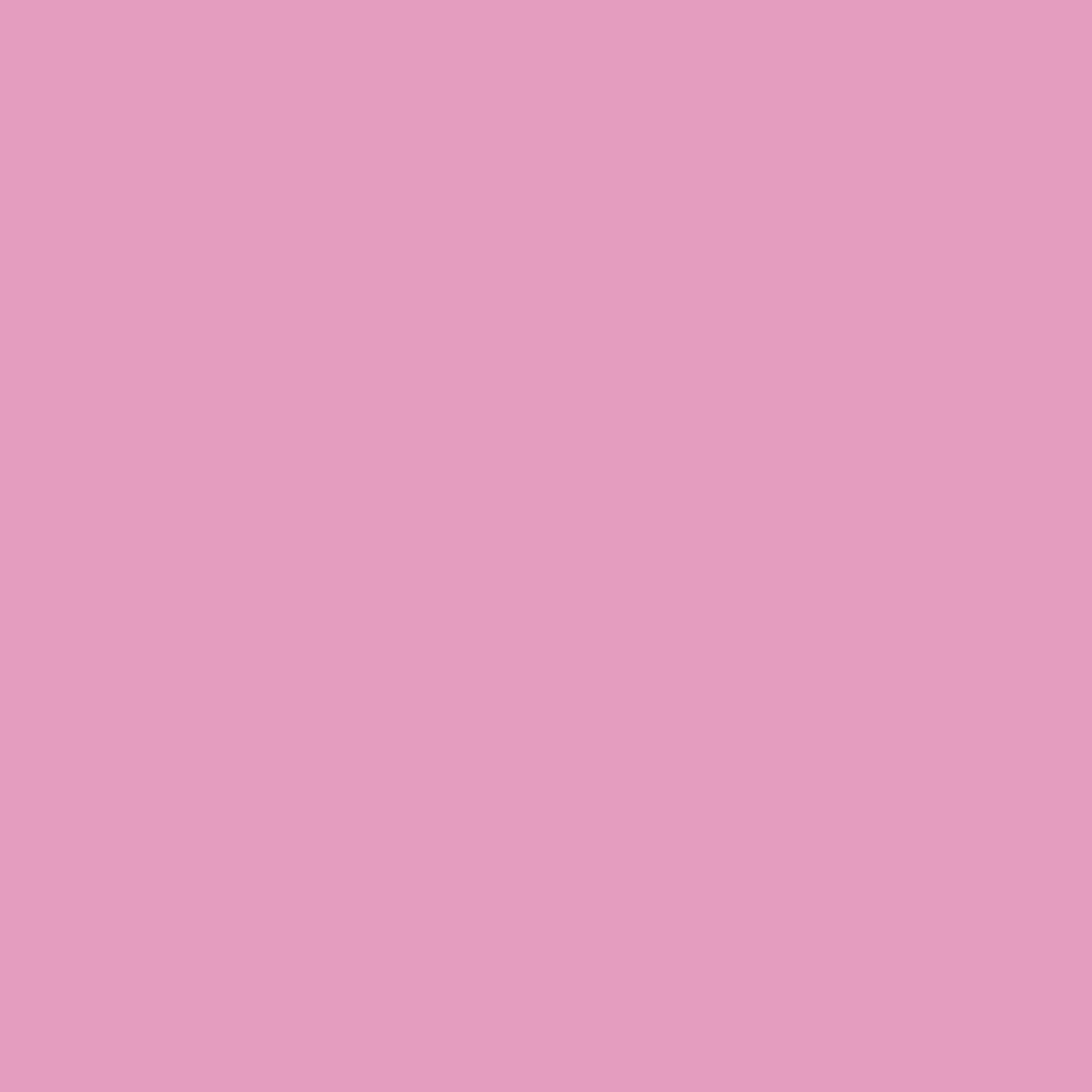 Tula Pink Solids - Sweat Pea - by the half yard