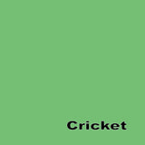 Tula Pink Solids - Cricket - by the half yard