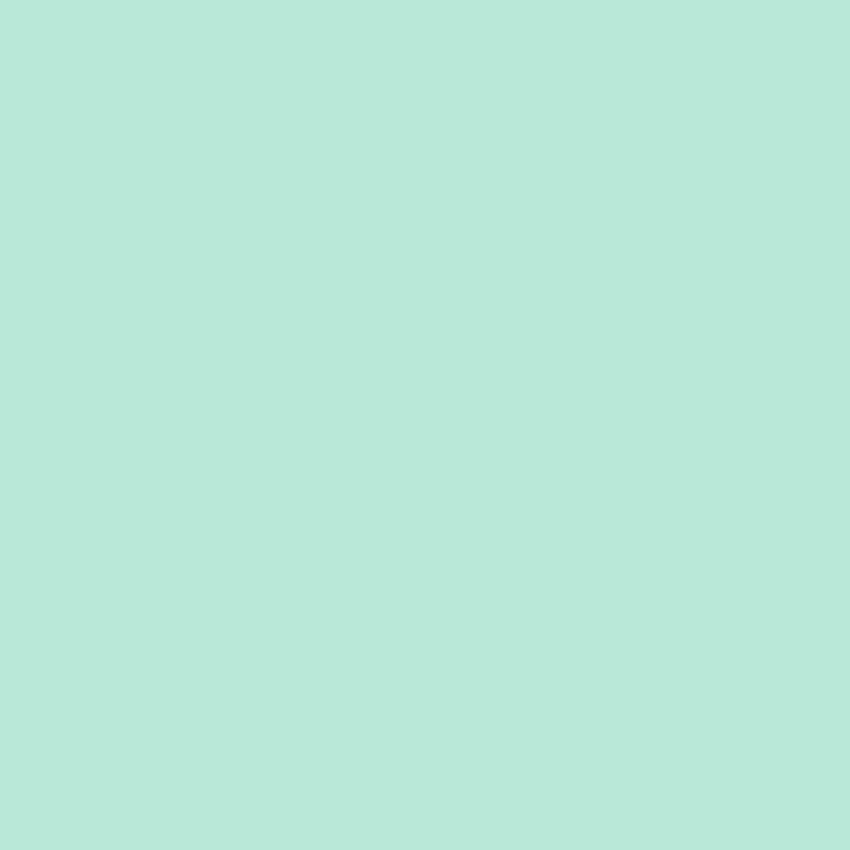 Tula Pink Solids - Sea Breeze - by the half yard