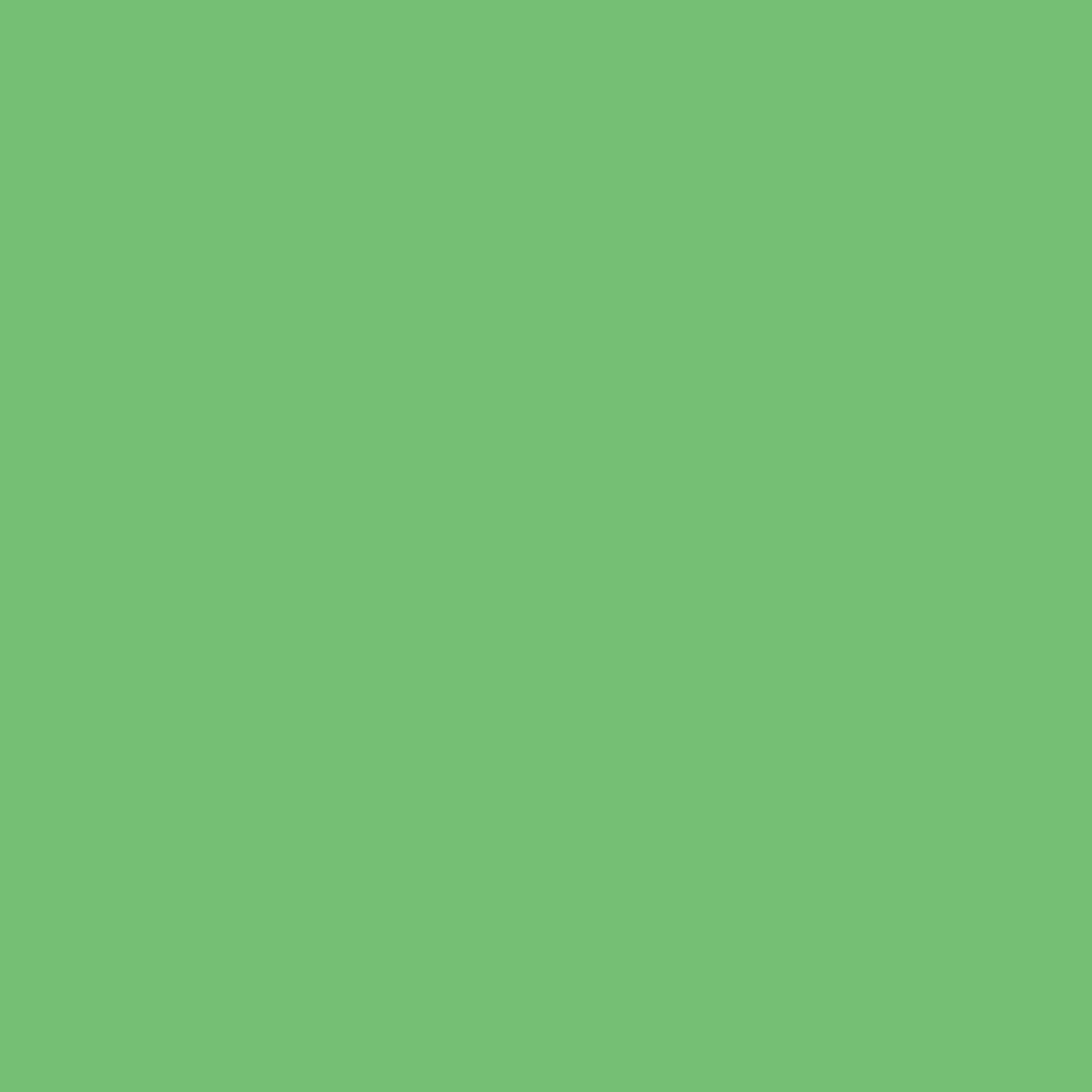 Tula Pink Solids - Cricket - by the half yard