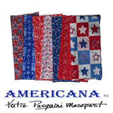 Americana - Katie Pasquini Masopust Bundle - HY FQ FE
