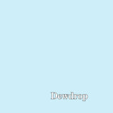 Tula Pink Solids - Dewdrop - by the half yard