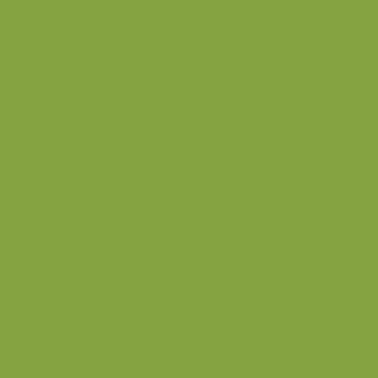 Tula Pink Solids - Matcha - by the half yard