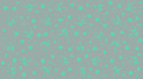 Tula Pink Fairy Flakes- True Colors - Spirit - By the half yard